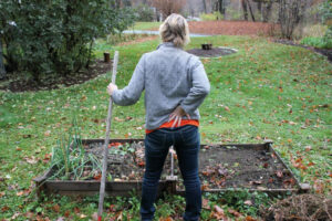 garden-clean-up
